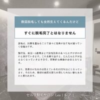 画像291