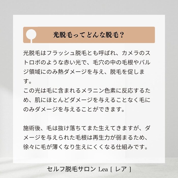 画像318
