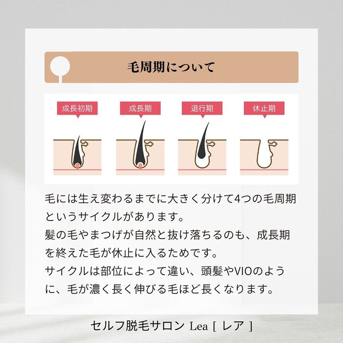 画像321