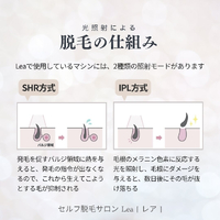 画像447