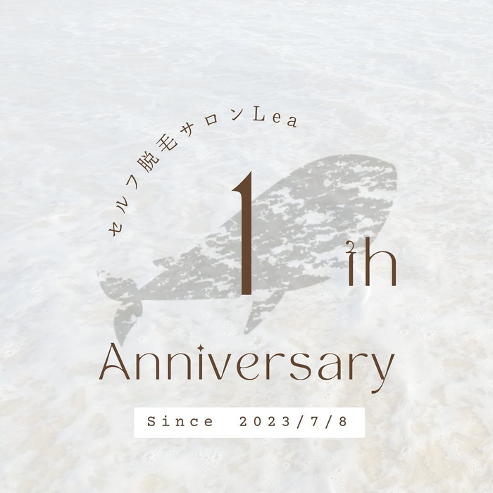 画像494
