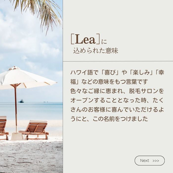 画像498